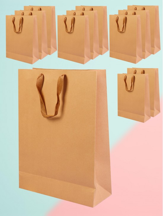 Brown kraft paper gift bags. W/ cardboard on bottom and  cloth rope handles (12Pcs) 16.5"